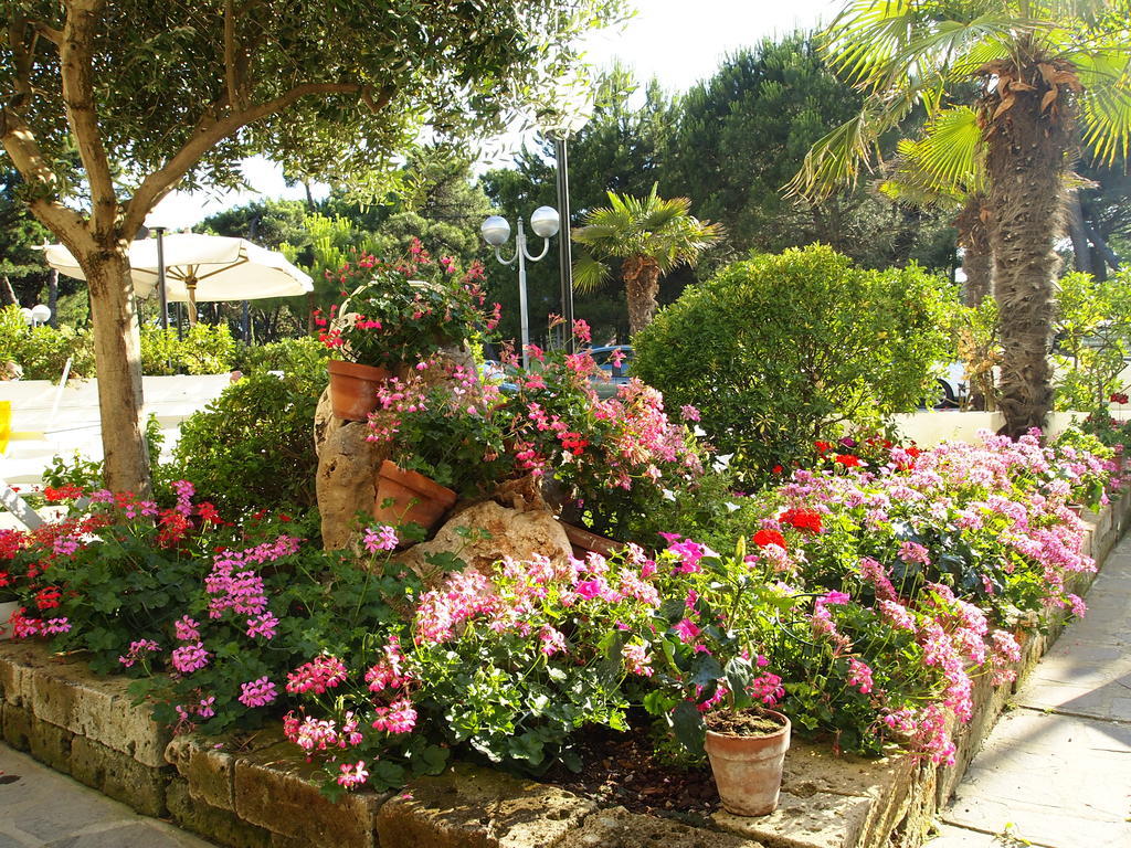 Hotel Ridolfi Milano Marittima Esterno foto
